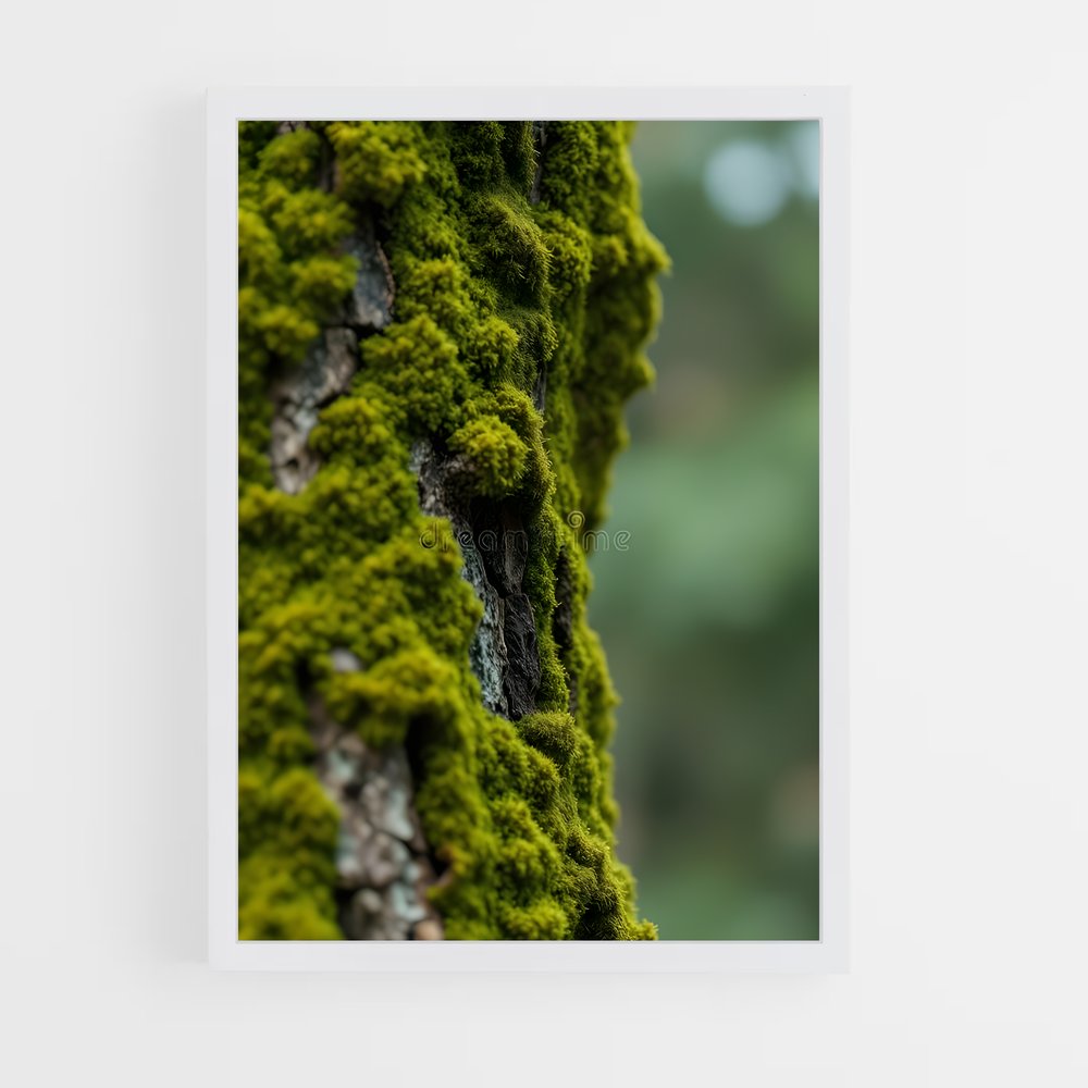 ap-forest moss-4 cadre Blanc