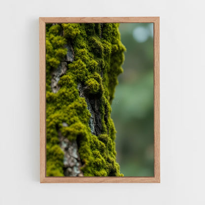 ap-forest moss-4 cadre Bois clair