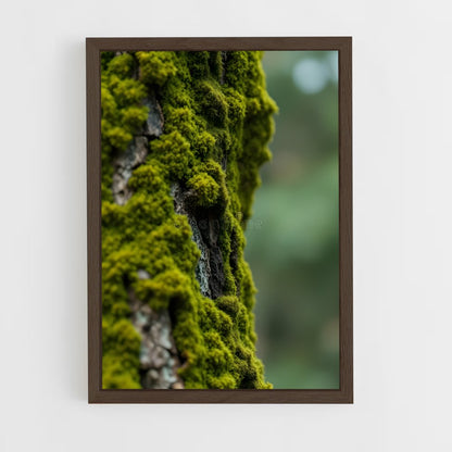 ap-forest moss-4 cadre Bois foncé