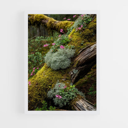 ap-forest moss-7 cadre Blanc