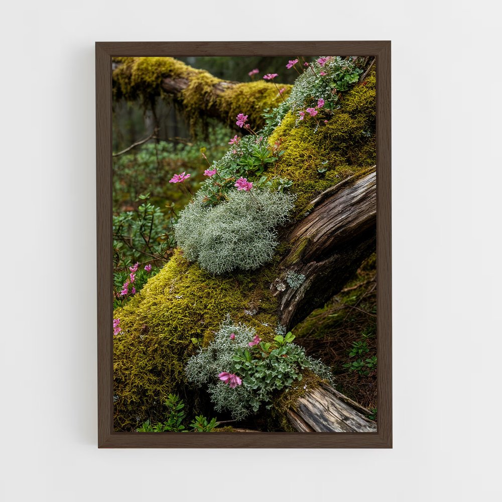 ap-forest moss-7 cadre Bois foncé