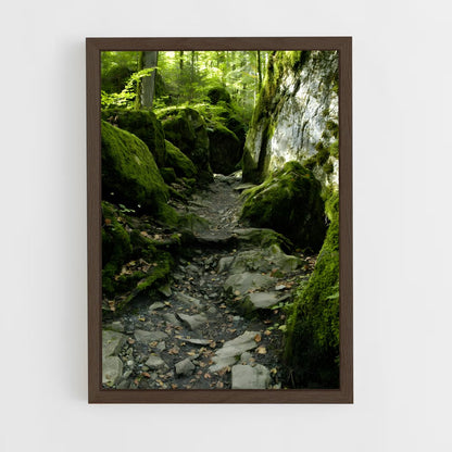 ap-forest moss-9 cadre Bois foncé