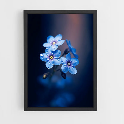 ap-forget-me-not-2 cadre Noir