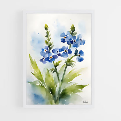 ap-forget-me-not-4 cadre Blanc