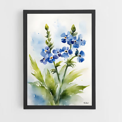 ap-forget-me-not-4 cadre Noir