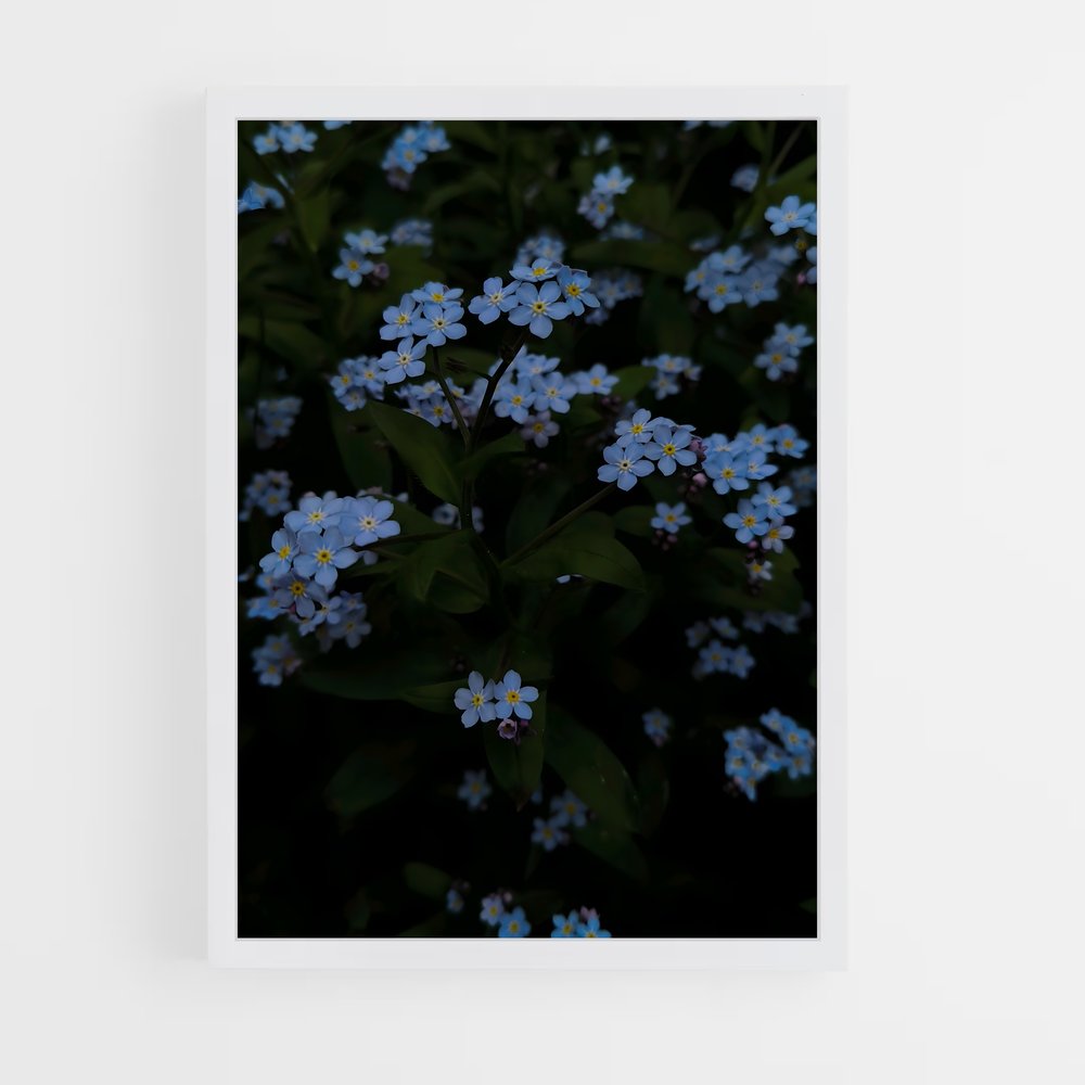 ap-forget-me-not-6 cadre Blanc