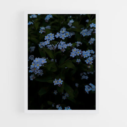 ap-forget-me-not-6 cadre Blanc
