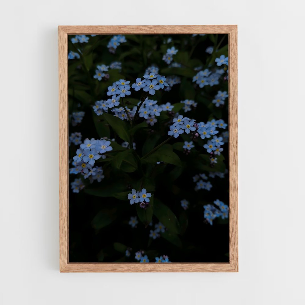 ap-forget-me-not-6 cadre Bois clair