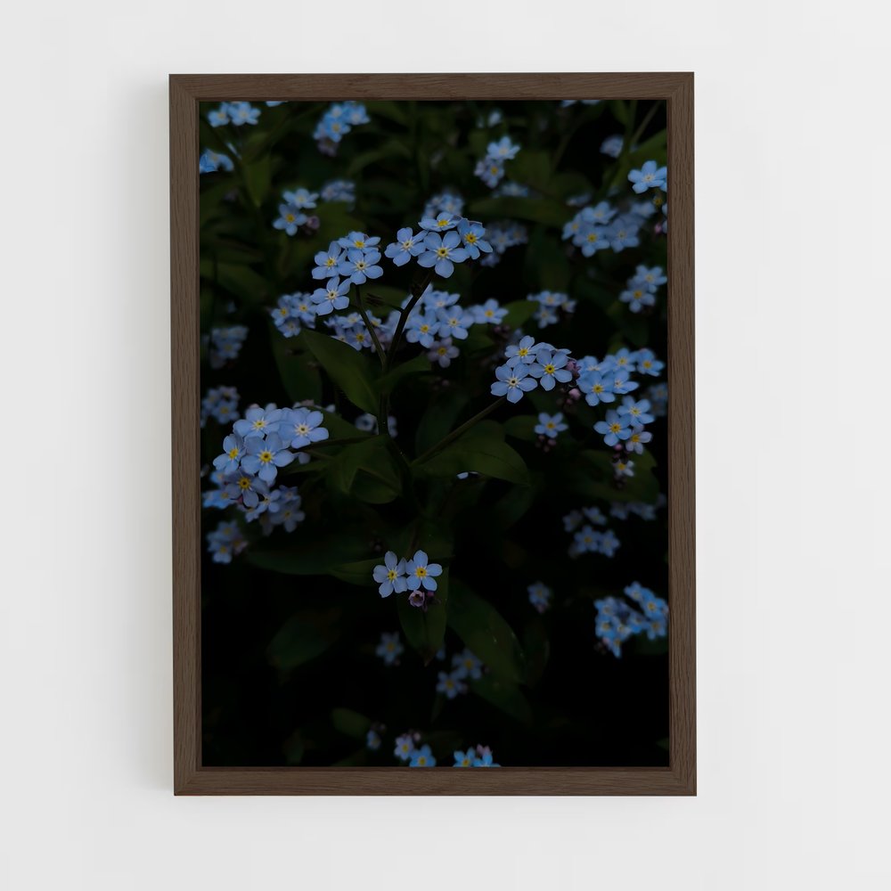 ap-forget-me-not-6 cadre Bois foncé