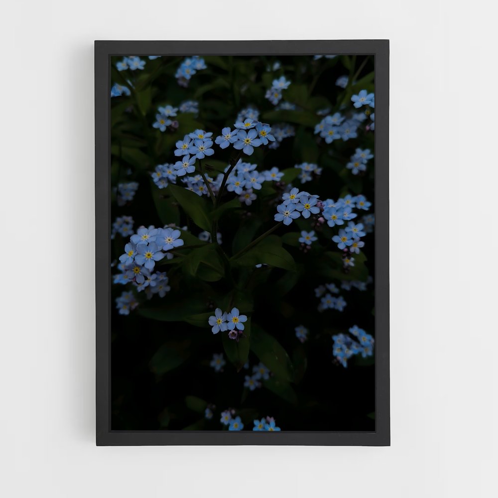 ap-forget-me-not-6 cadre Noir