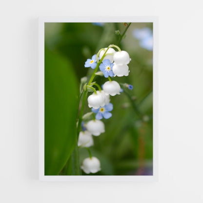 ap-forget-me-not-7 cadre Blanc