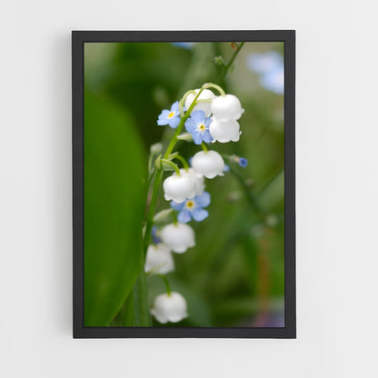 ap-forget-me-not-7 cadre Noir