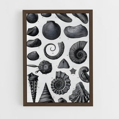 ap-fossils-1 cadre Bois foncé