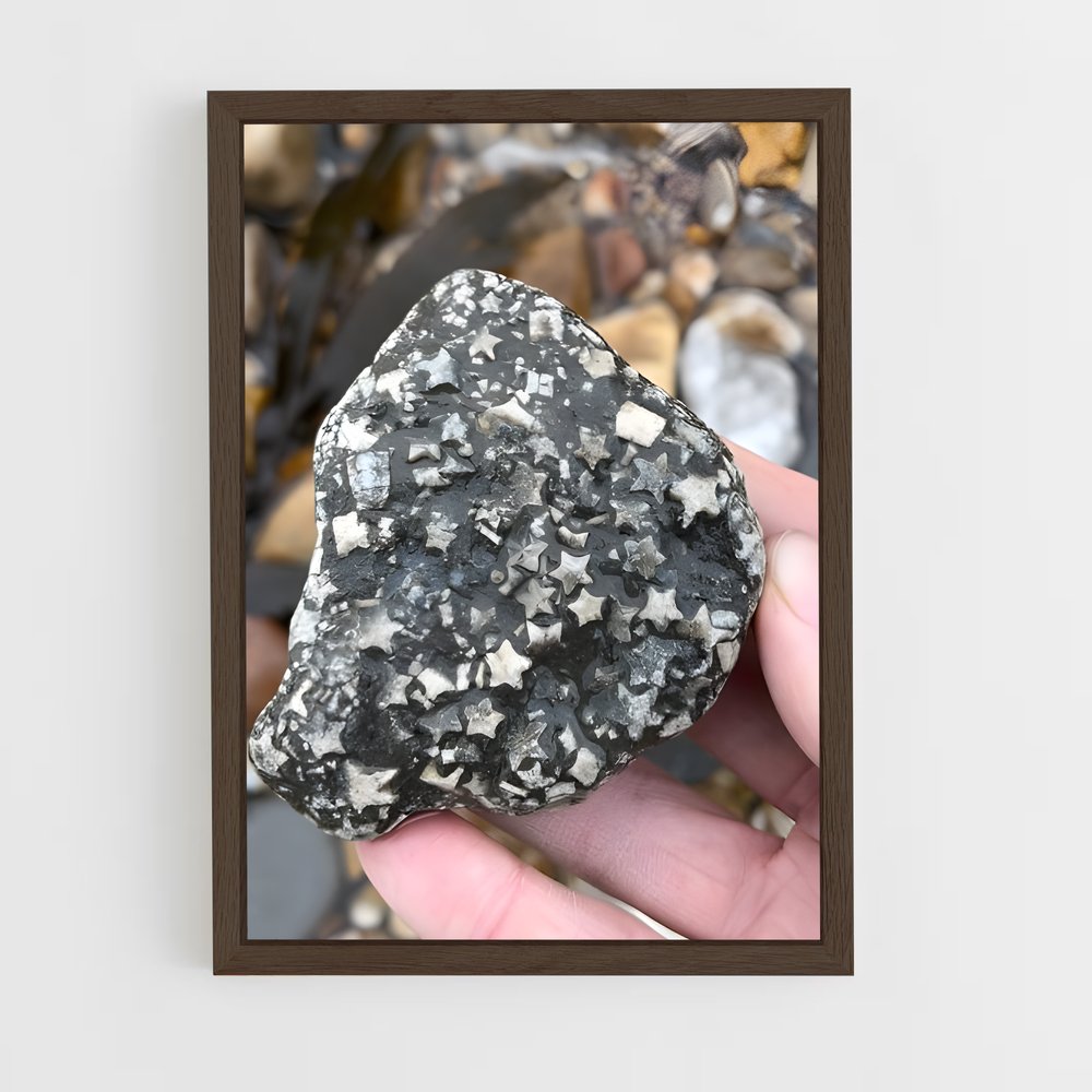 ap-fossils-4 cadre Bois foncé