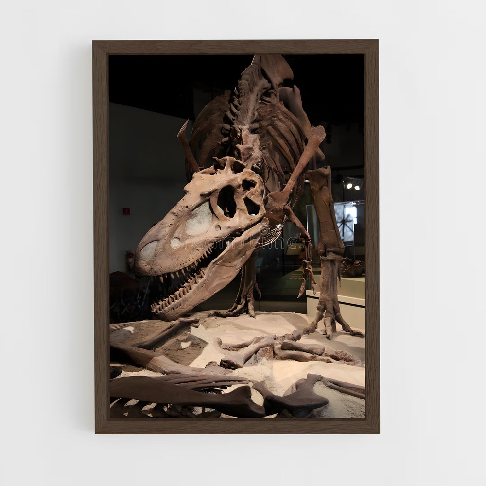 ap-fossils-5 cadre Bois foncé