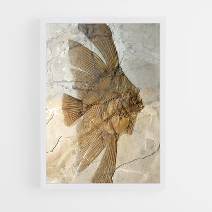 ap-fossils-6 cadre Blanc