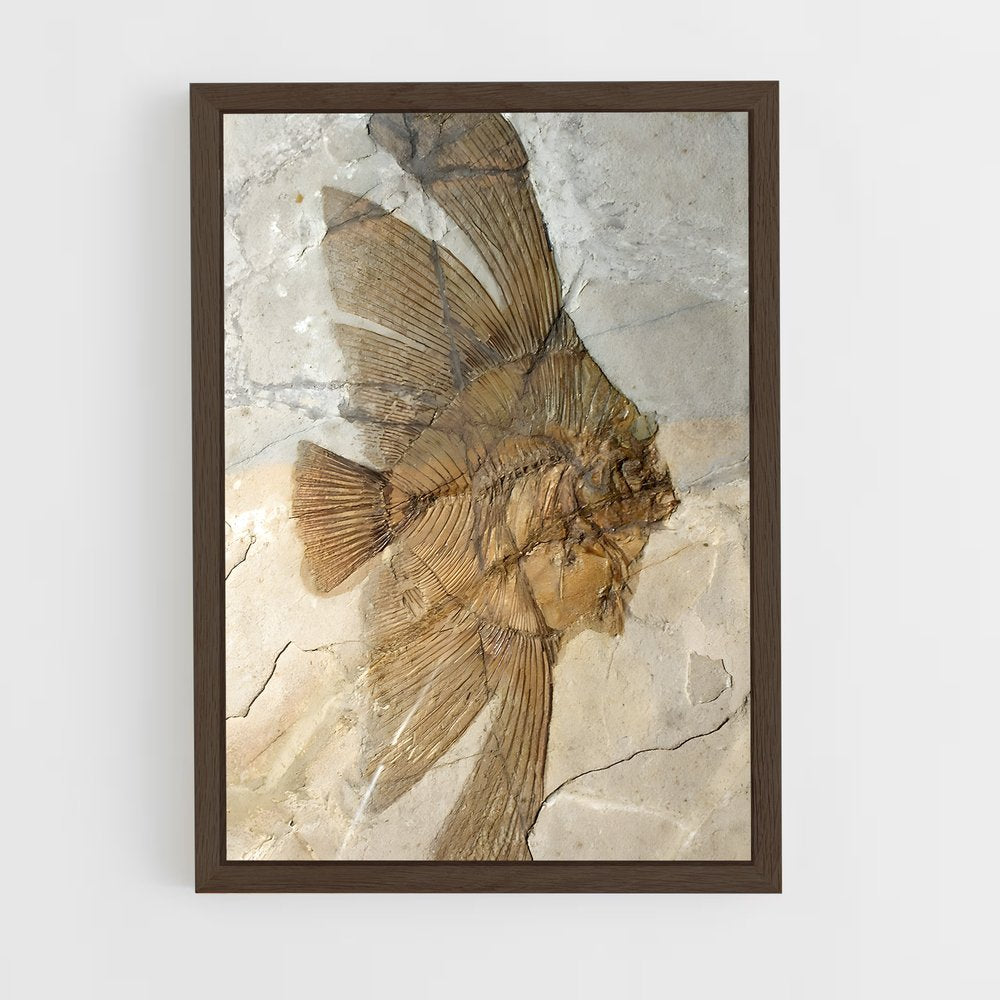 ap-fossils-6 cadre Bois foncé