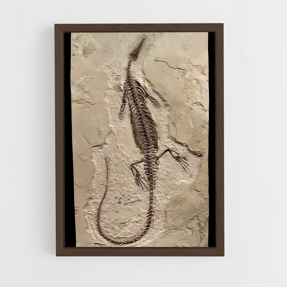 ap-fossils-7 cadre Bois foncé