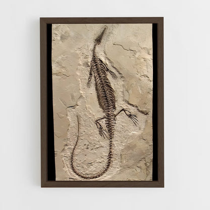ap-fossils-7 cadre Bois foncé