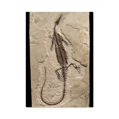 Poster Fossile Mystique