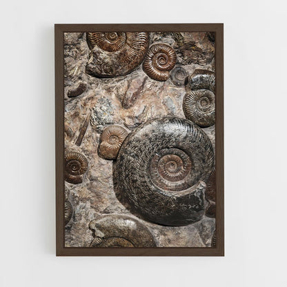 ap-fossils-8 cadre Bois foncé