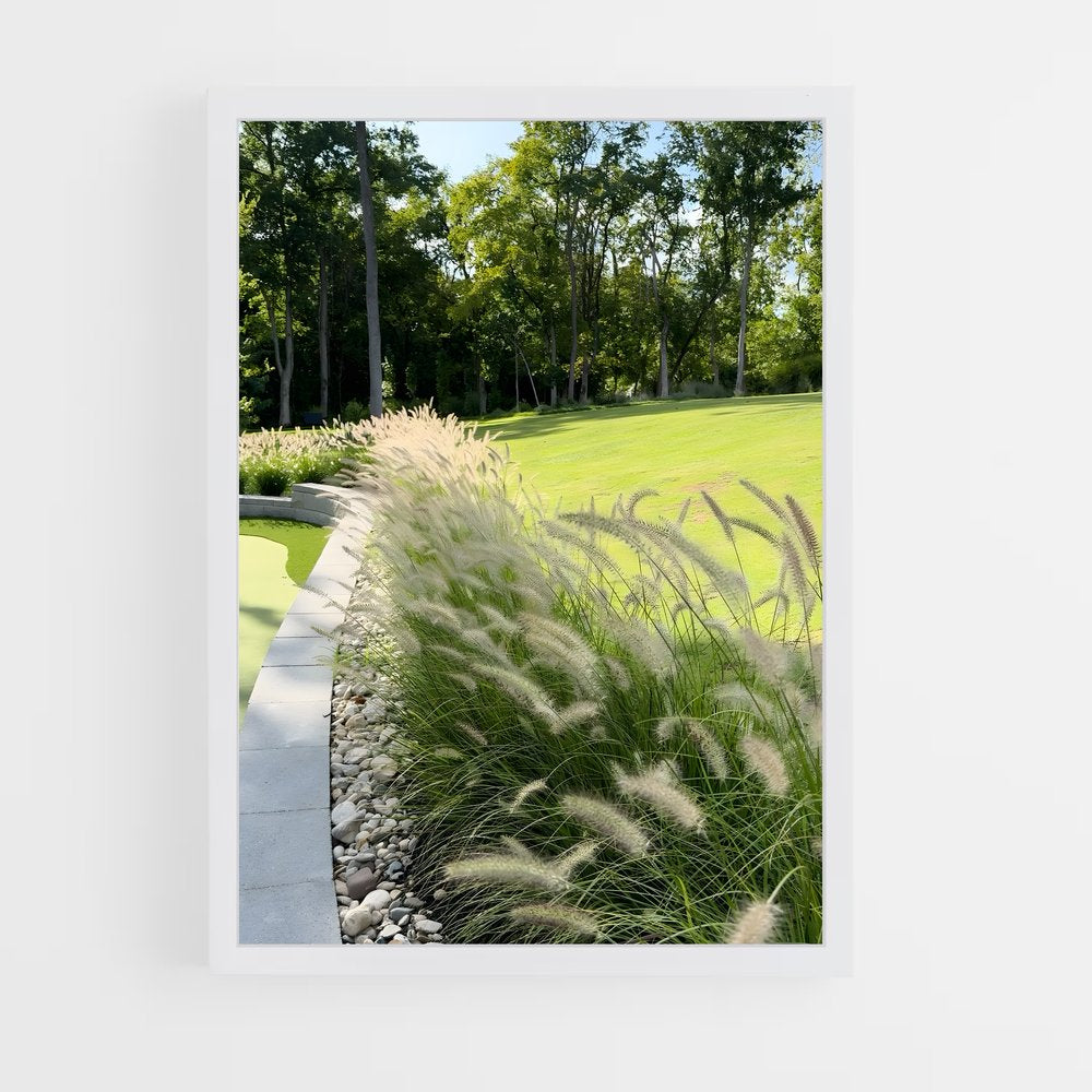 ap-fountain grass-1 cadre Blanc