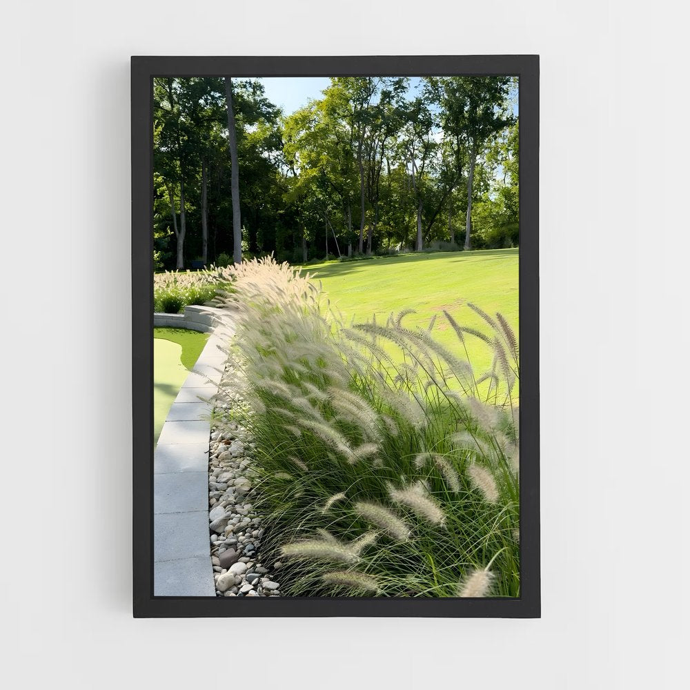 ap-fountain grass-1 cadre Noir