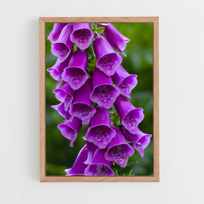 ap-foxglove-2 cadre Bois clair