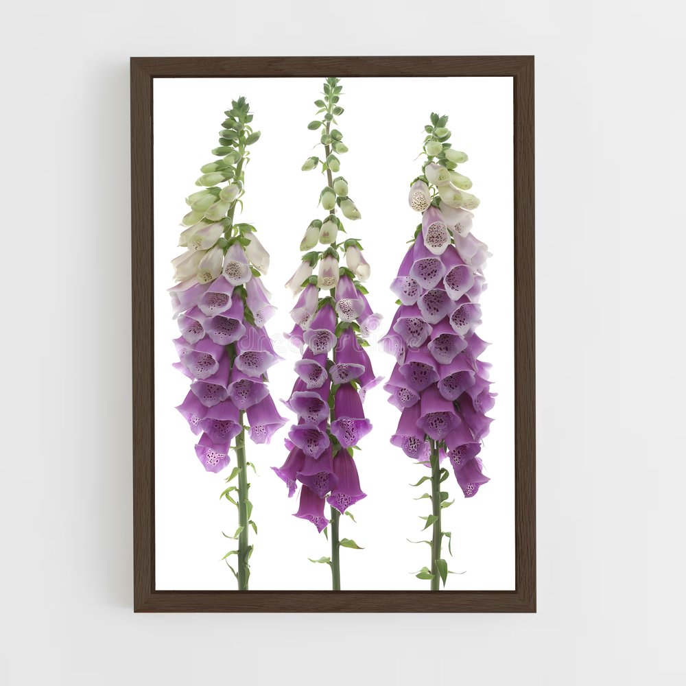 ap-foxglove-3 cadre Bois foncé