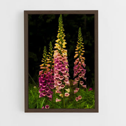 ap-foxglove-4 cadre Bois foncé