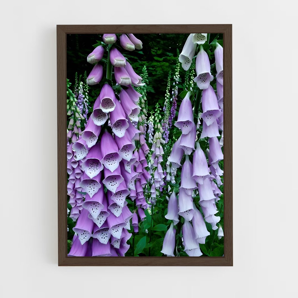ap-foxglove-5 cadre Bois foncé