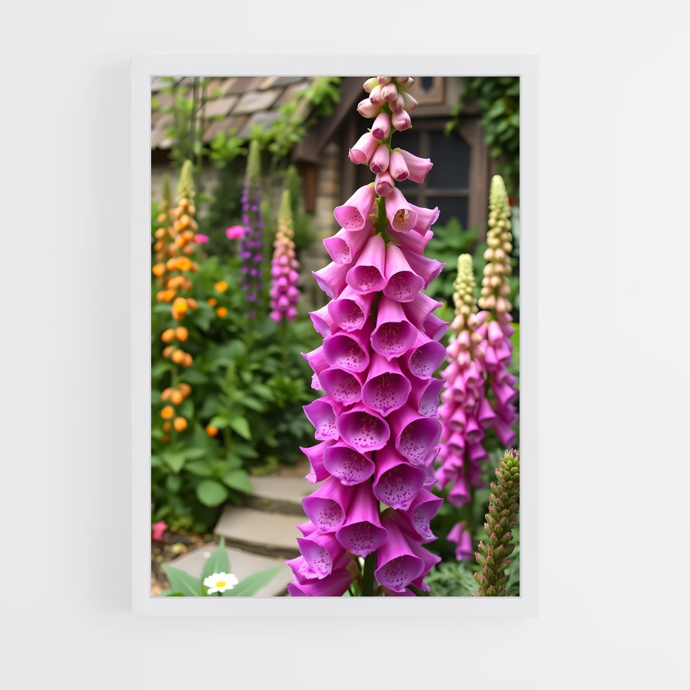 ap-foxglove-6 cadre Blanc