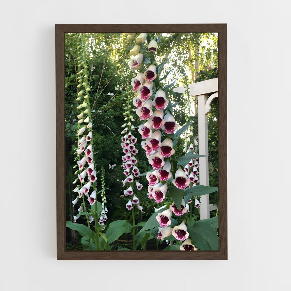 ap-foxglove-7 cadre Bois foncé