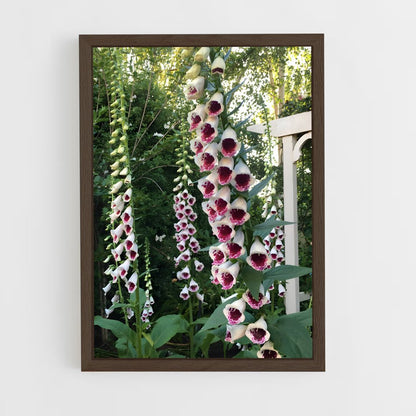 ap-foxglove-7 cadre Bois foncé