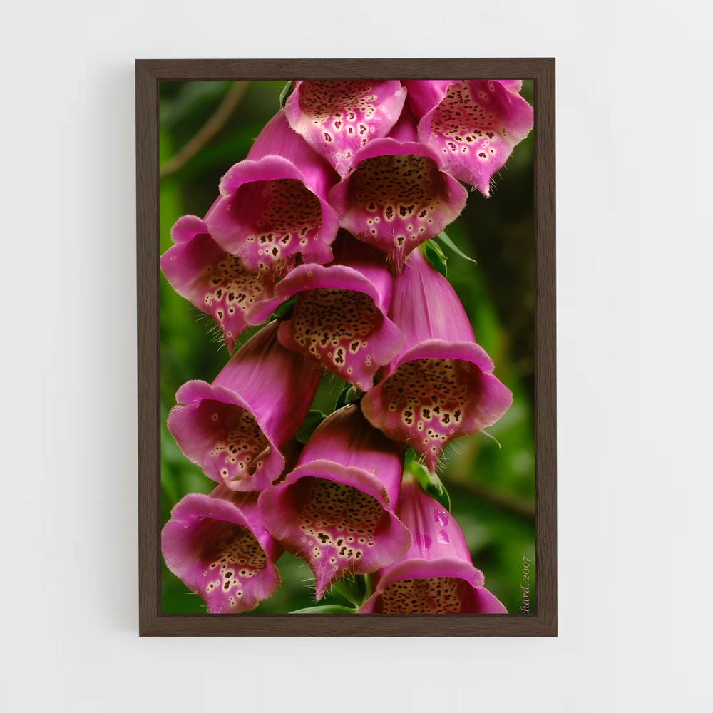 ap-foxglove-8 cadre Bois foncé