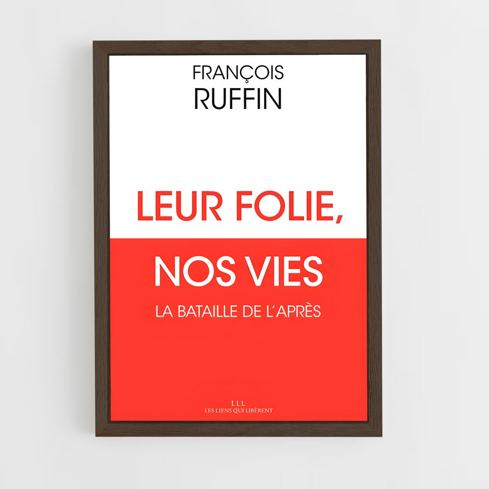 ap-francois ruffin-1 cadre Bois foncé