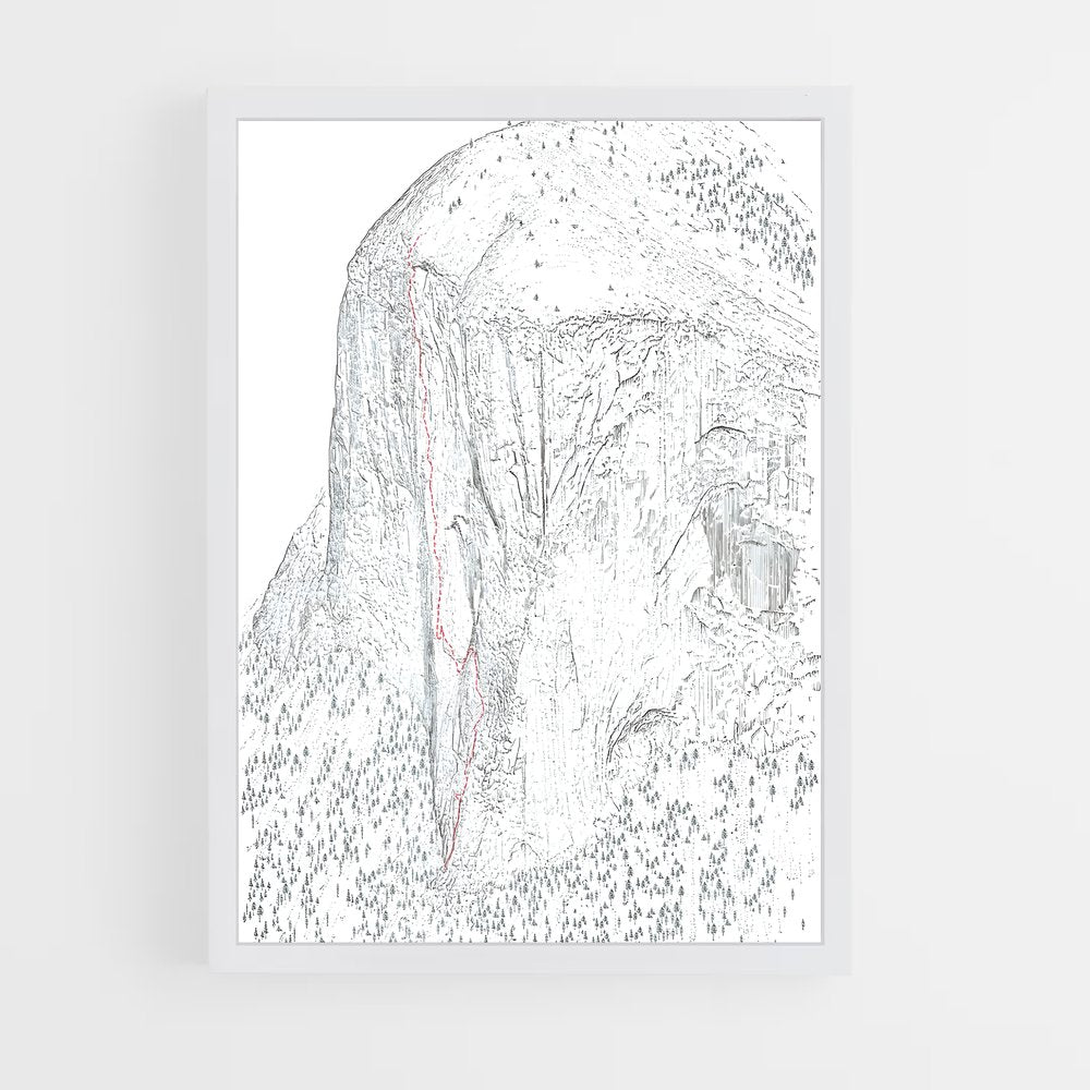 ap-freerider el capitan-1 cadre Blanc