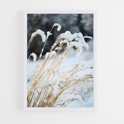 ap-fresh snow-3 cadre Blanc
