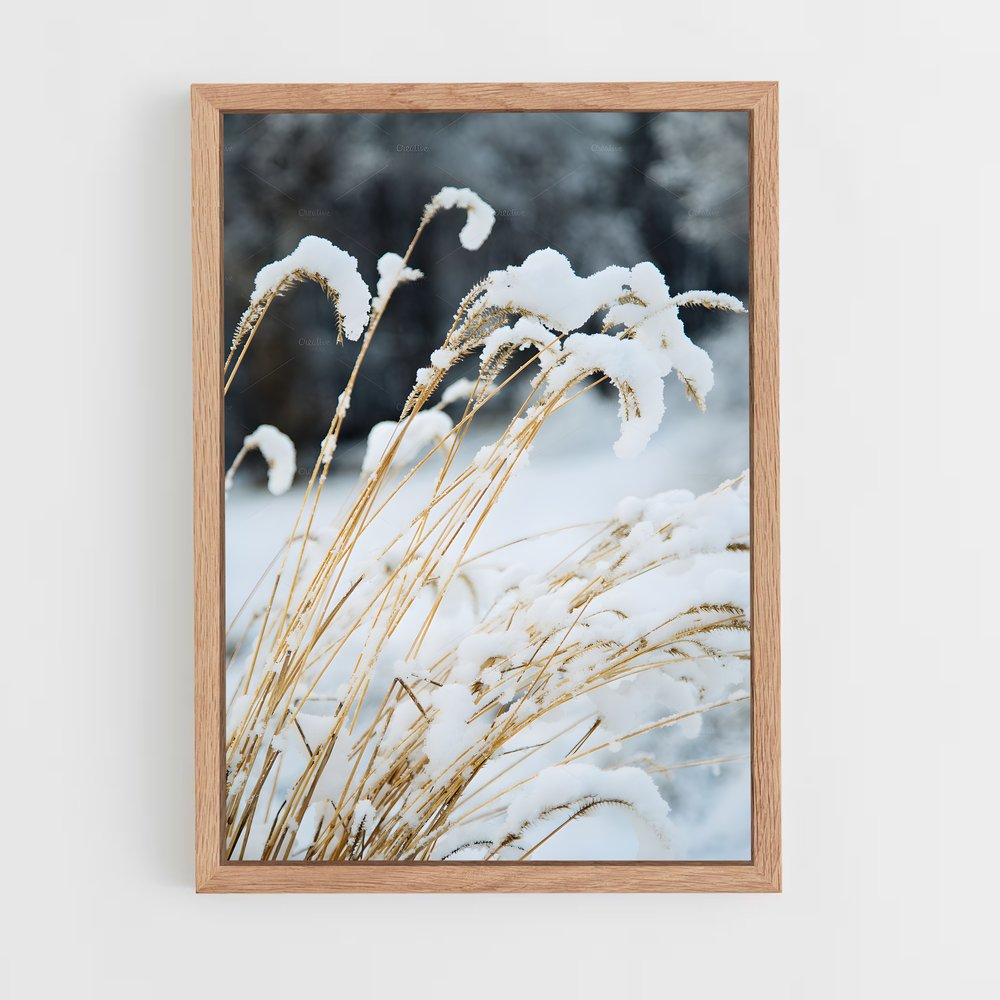 ap-fresh snow-3 cadre Bois clair