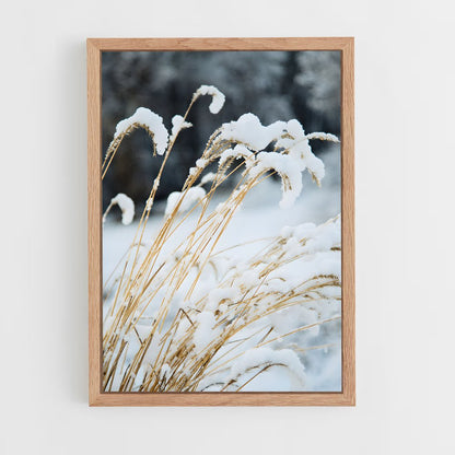 ap-fresh snow-3 cadre Bois clair