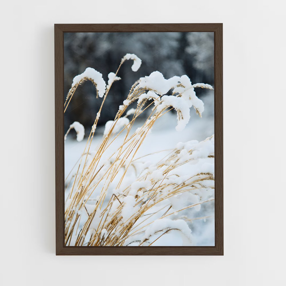 ap-fresh snow-3 cadre Bois foncé
