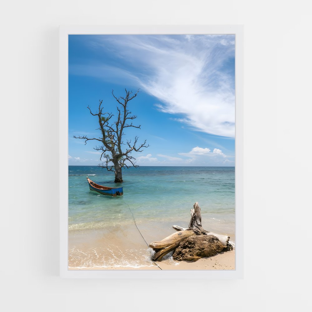 ap-funafuti lagoon-2 cadre Blanc
