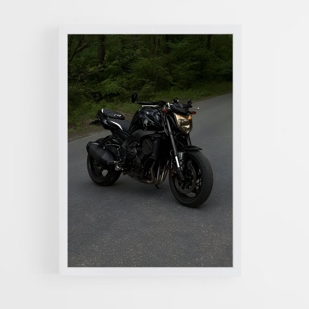ap-fz1-1 cadre Blanc