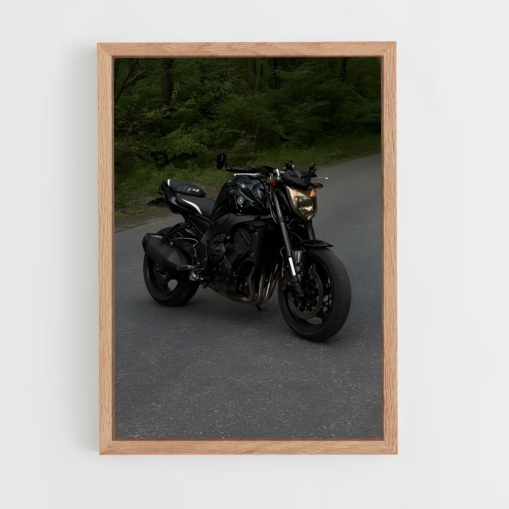 ap-fz1-1 cadre Bois clair