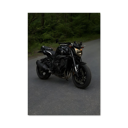 Poster Fz1 82866
