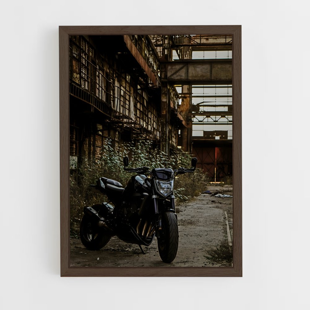 ap-fz1-2 cadre Bois foncé