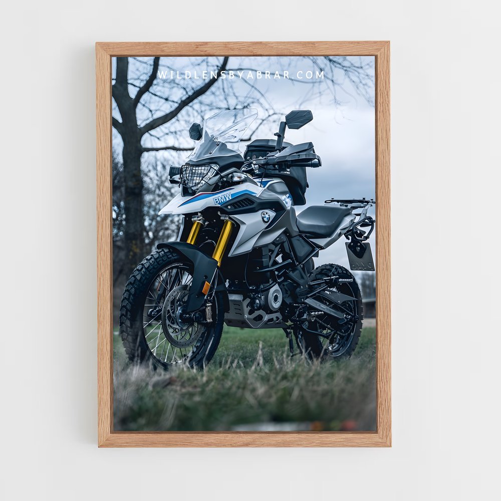 ap-g 310 gs-3 cadre Bois clair