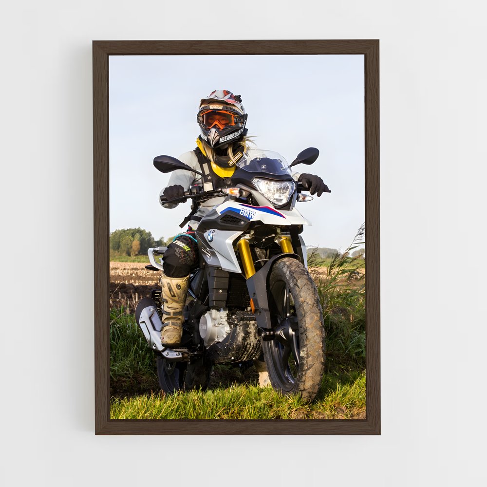 ap-g 310 gs-5 cadre Bois foncé