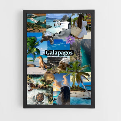 ap-galapagos islands-4 cadre Noir