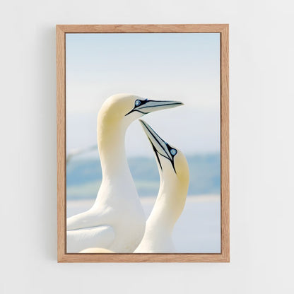 ap-gannet-6 cadre Bois clair